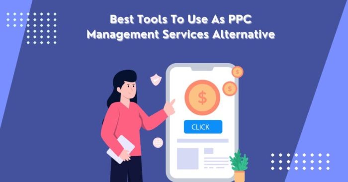 UK PPC Management: 50% Savings, Custom Solutions for Agencies