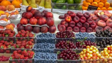 Market Research Services